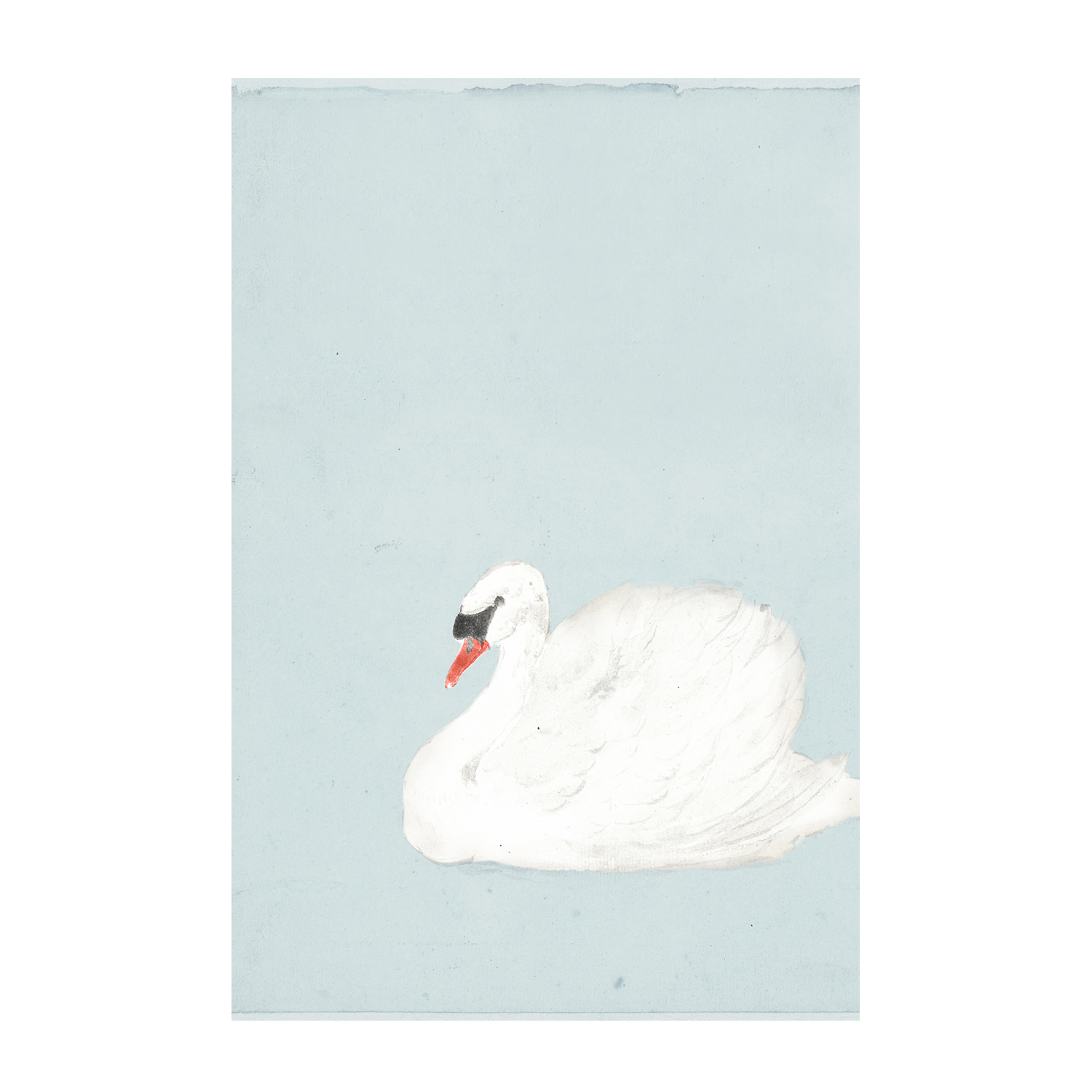 wall-art-print-canvas-poster-framed-Daisies and Swan, Set Of 2 , By Leah Straatsma-8