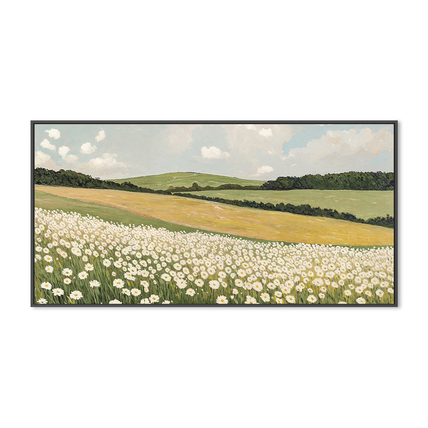 wall-art-print-canvas-poster-framed-Daisy Field , By Lady Hana-3