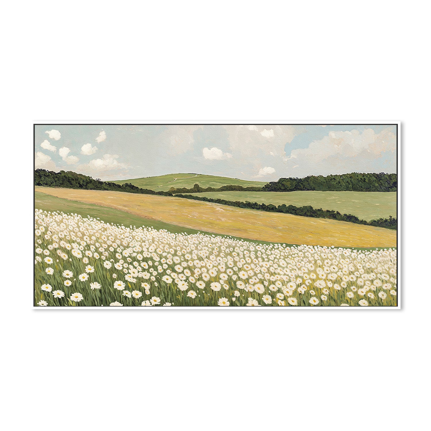 wall-art-print-canvas-poster-framed-Daisy Field , By Lady Hana-5