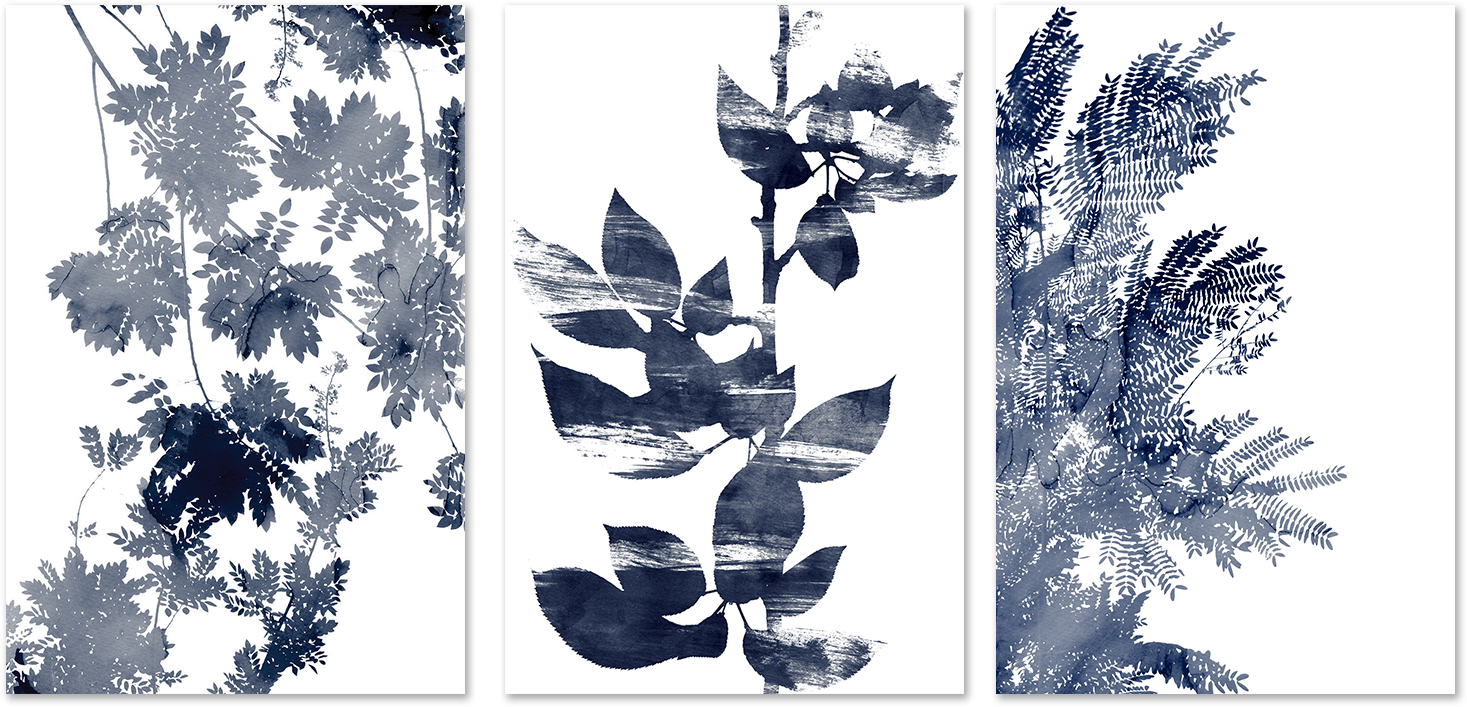 wall-art-print-canvas-poster-framed-Deep Ecology, Style A, B & C, Set Of 3 , By Danushka Abeygoda-1