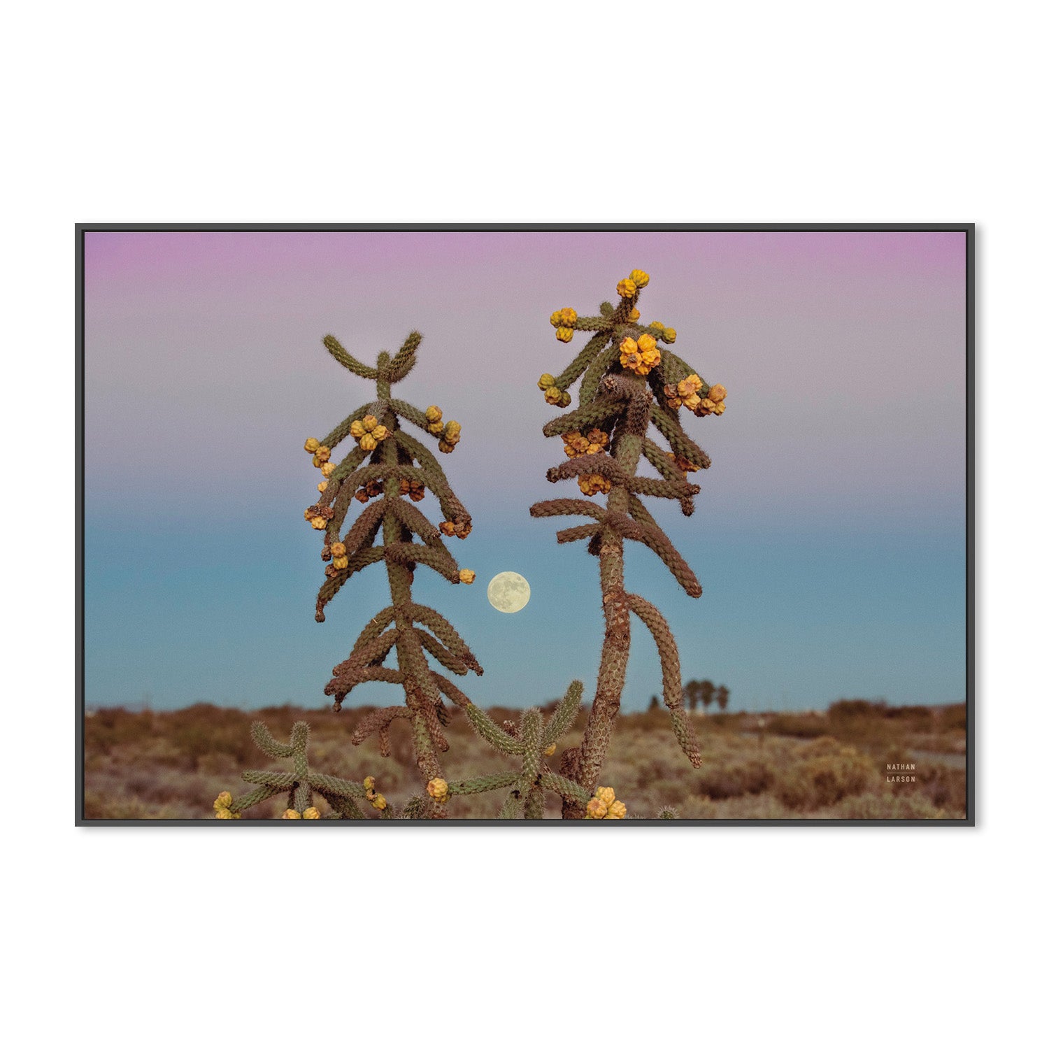 wall-art-print-canvas-poster-framed-Desert Moonrise-3