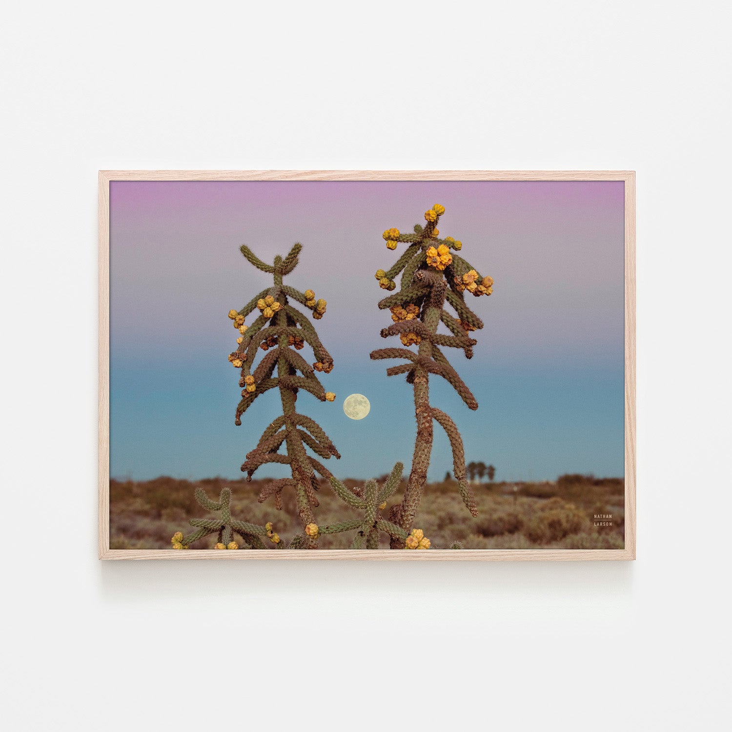 wall-art-print-canvas-poster-framed-Desert Moonrise-6
