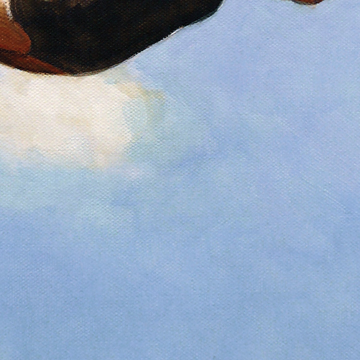 wall-art-print-canvas-poster-framed-Diver in the Sky-11