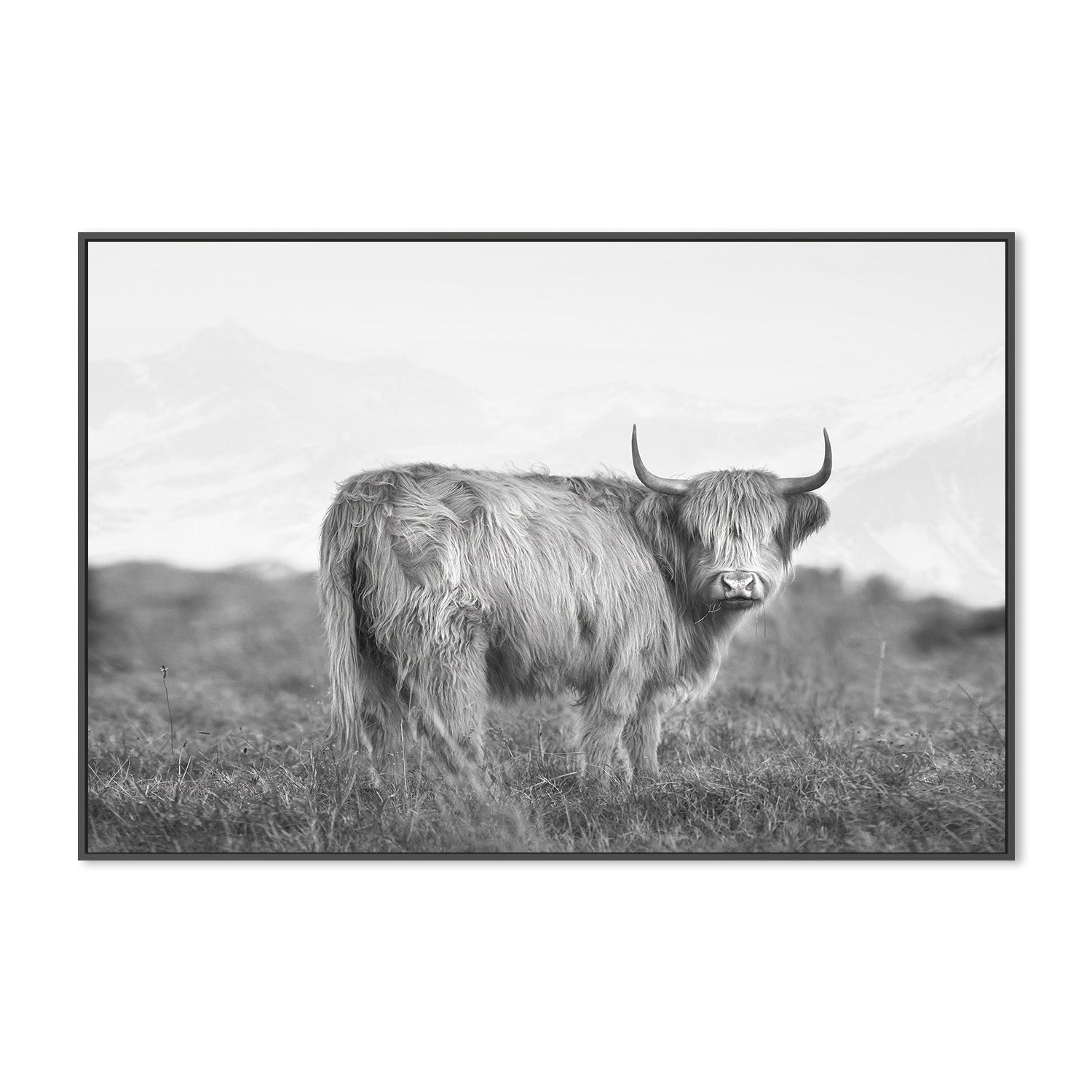 wall-art-print-canvas-poster-framed-Dixie, Style B , By Belinda Gerace-3