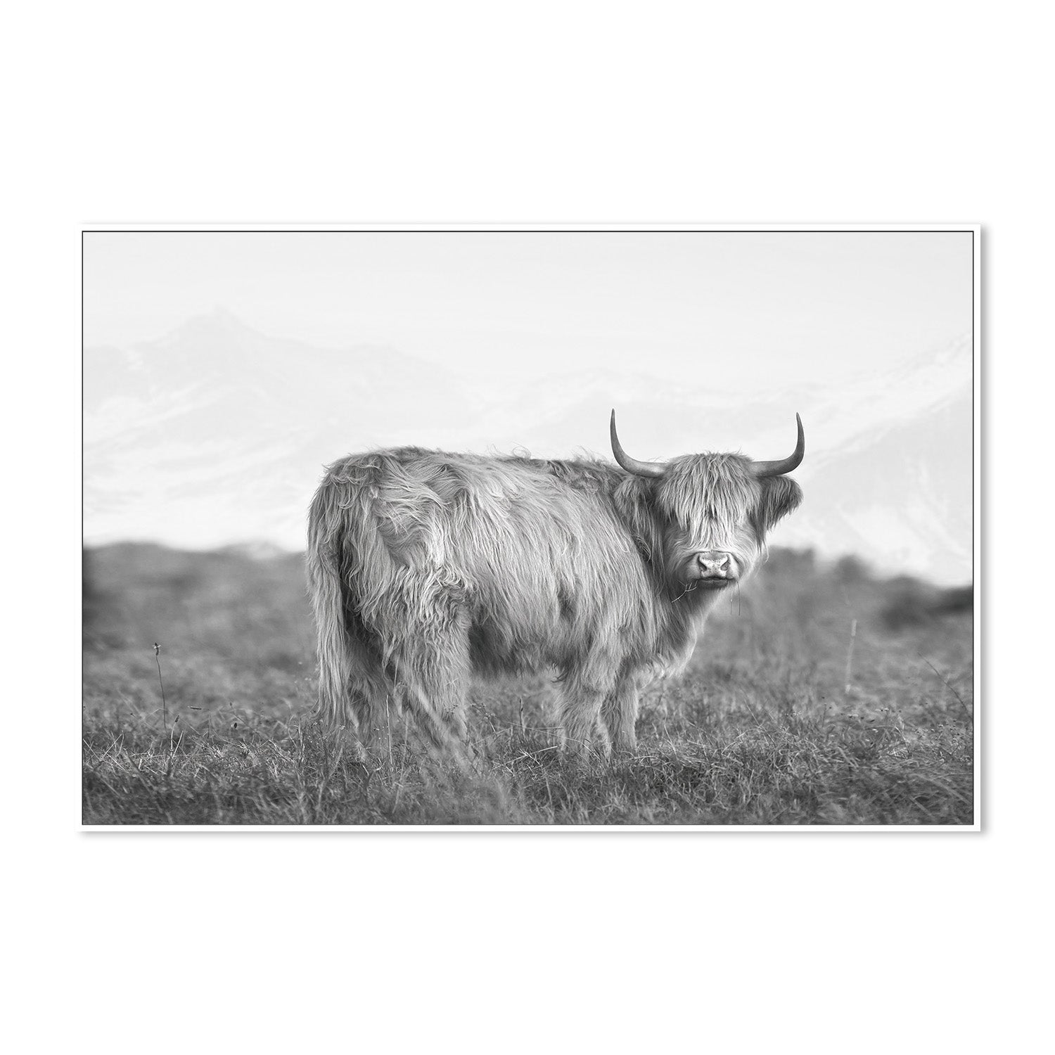 wall-art-print-canvas-poster-framed-Dixie, Style B , By Belinda Gerace-5