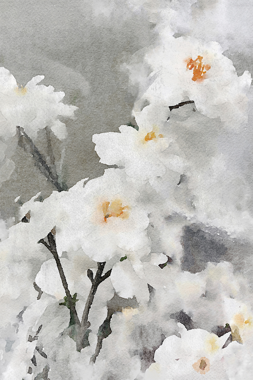 wall-art-print-canvas-poster-framed-Dreamy Flower , By Irena Orlov-1