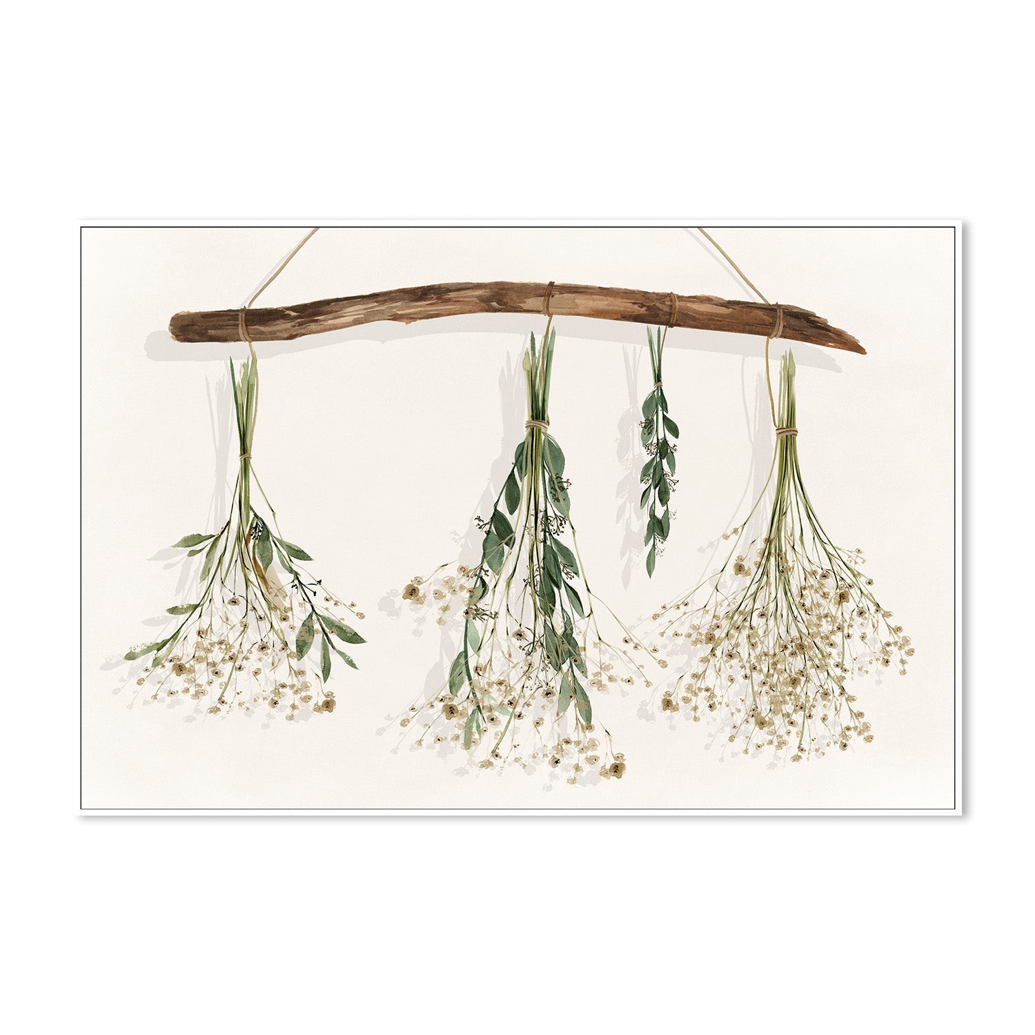 wall-art-print-canvas-poster-framed-Drying Flowers , By Isabelle Z-5