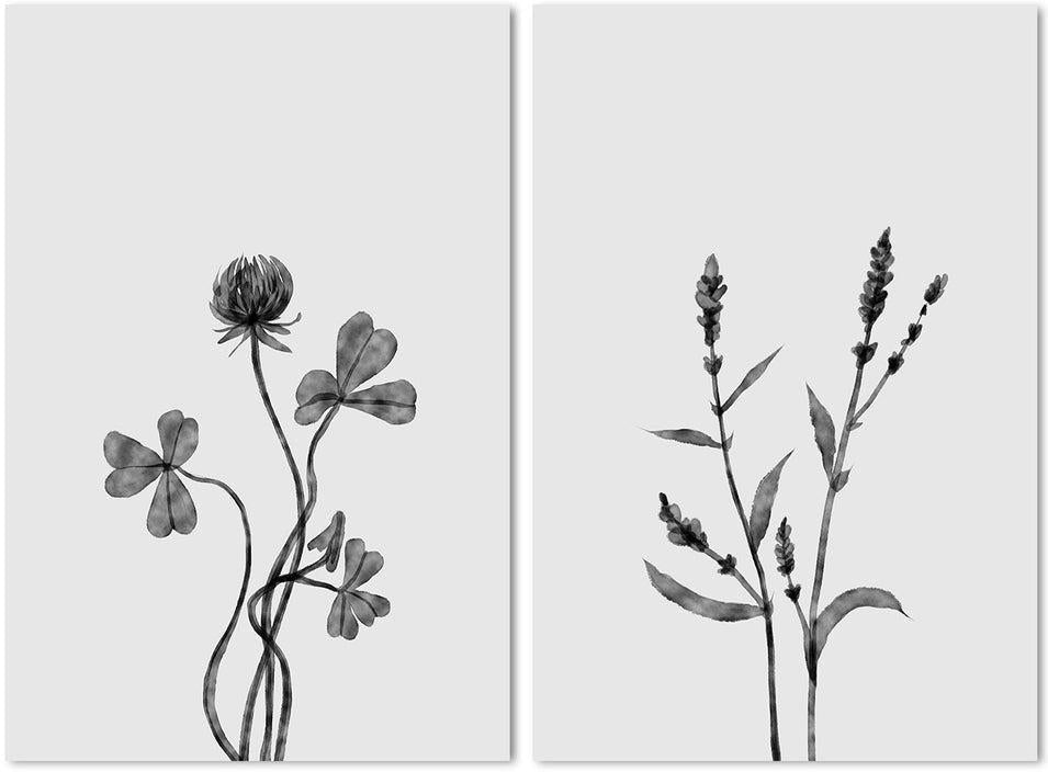 wall-art-print-canvas-poster-framed-Dutch Clover And Orache, Set Of 2, Style A , By Dan Hobday-by-Dan Hobday-Gioia Wall Art