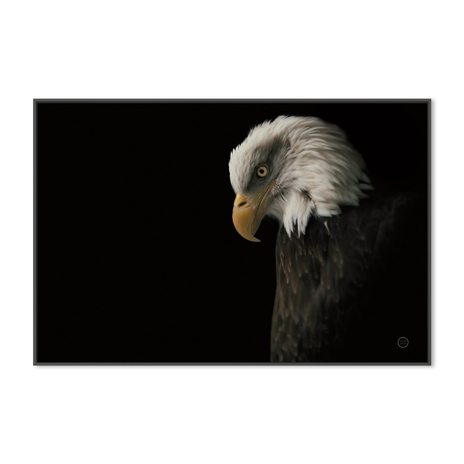 wall-art-print-canvas-poster-framed-Eagle Bow-3