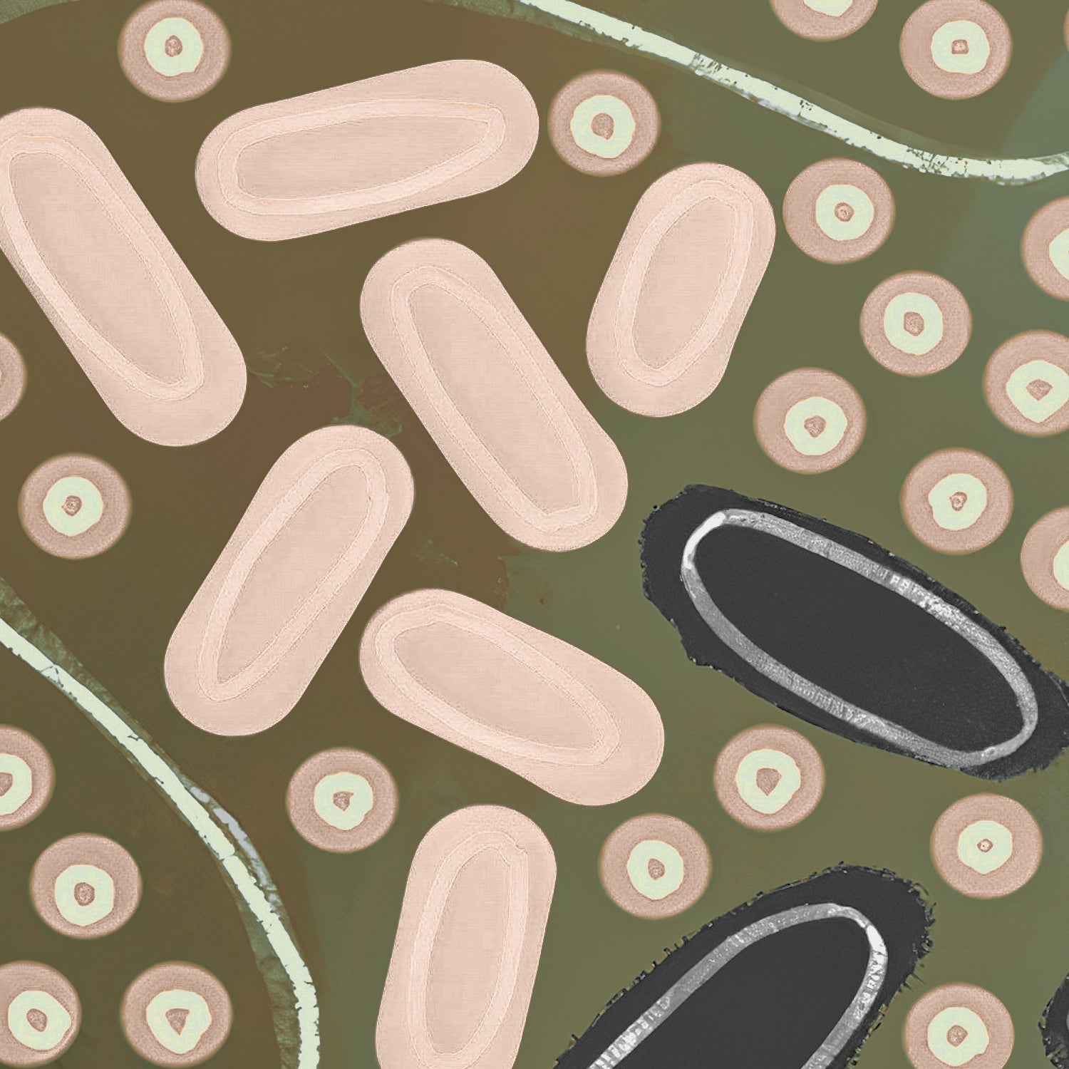 wall-art-print-canvas-poster-framed-Earth’s Gathering, Green Tones , By Tulearah Shield-9