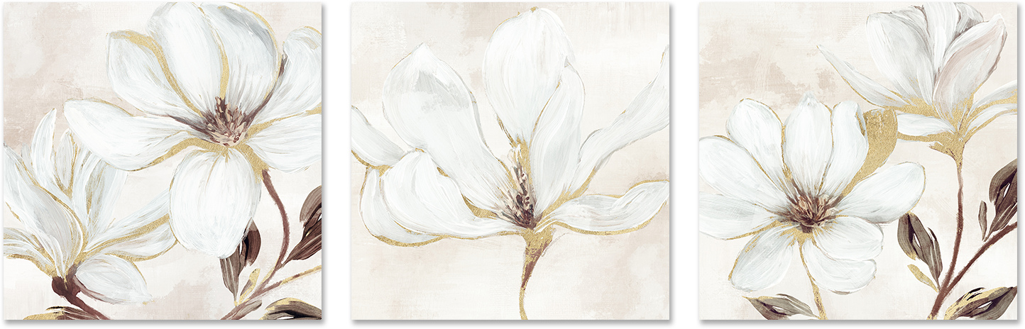 wall-art-print-canvas-poster-framed-Elegant Magnolia, Style A, B & C, Set Of 3 , By Nina Blue-1
