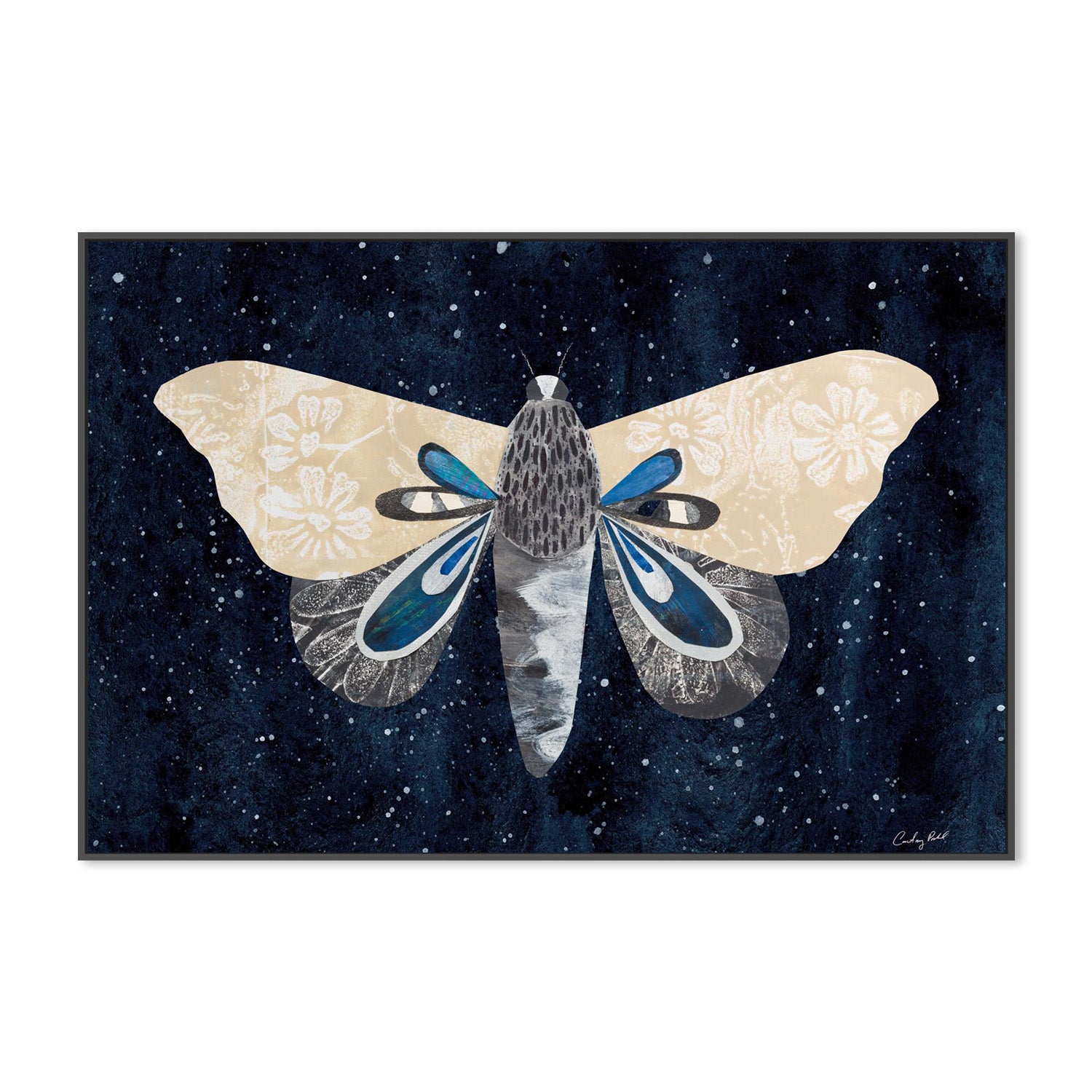 wall-art-print-canvas-poster-framed-Elegant Moth, Style A-3