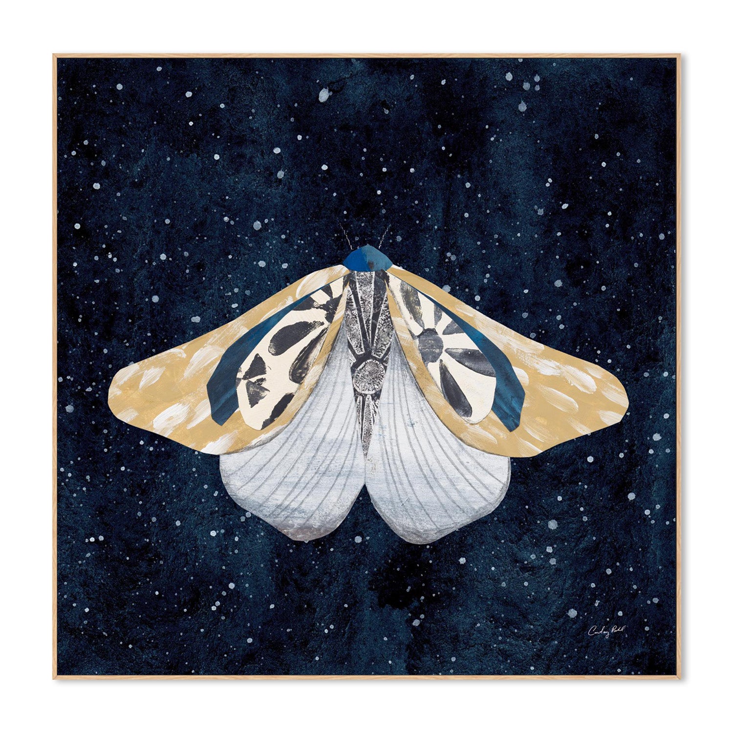 wall-art-print-canvas-poster-framed-Elegant Moth, Style B-4