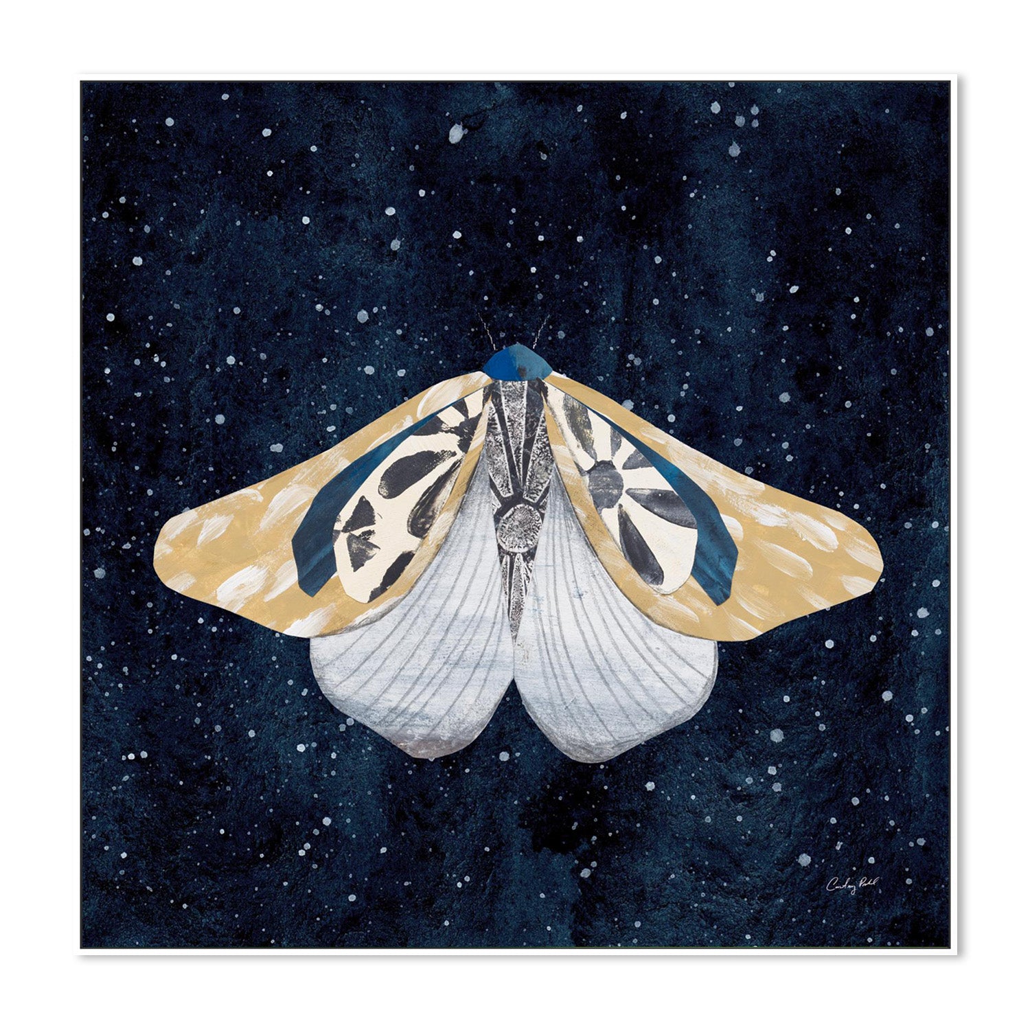 wall-art-print-canvas-poster-framed-Elegant Moth, Style B-5