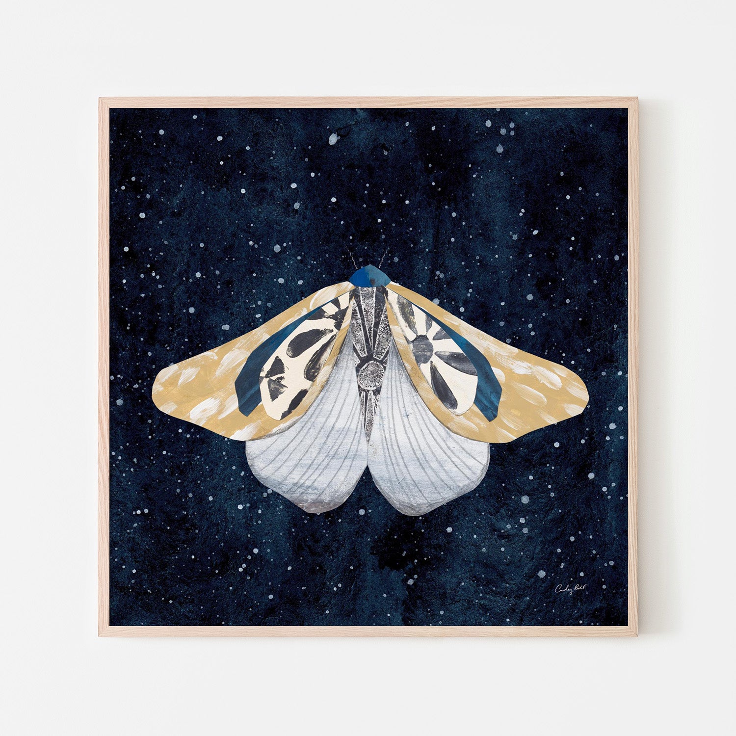 wall-art-print-canvas-poster-framed-Elegant Moth, Style B-6