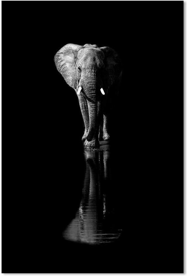 wall-art-print-canvas-poster-framed-Elephant, By Jie Fischer-by-Plus X Studio-Gioia Wall Art