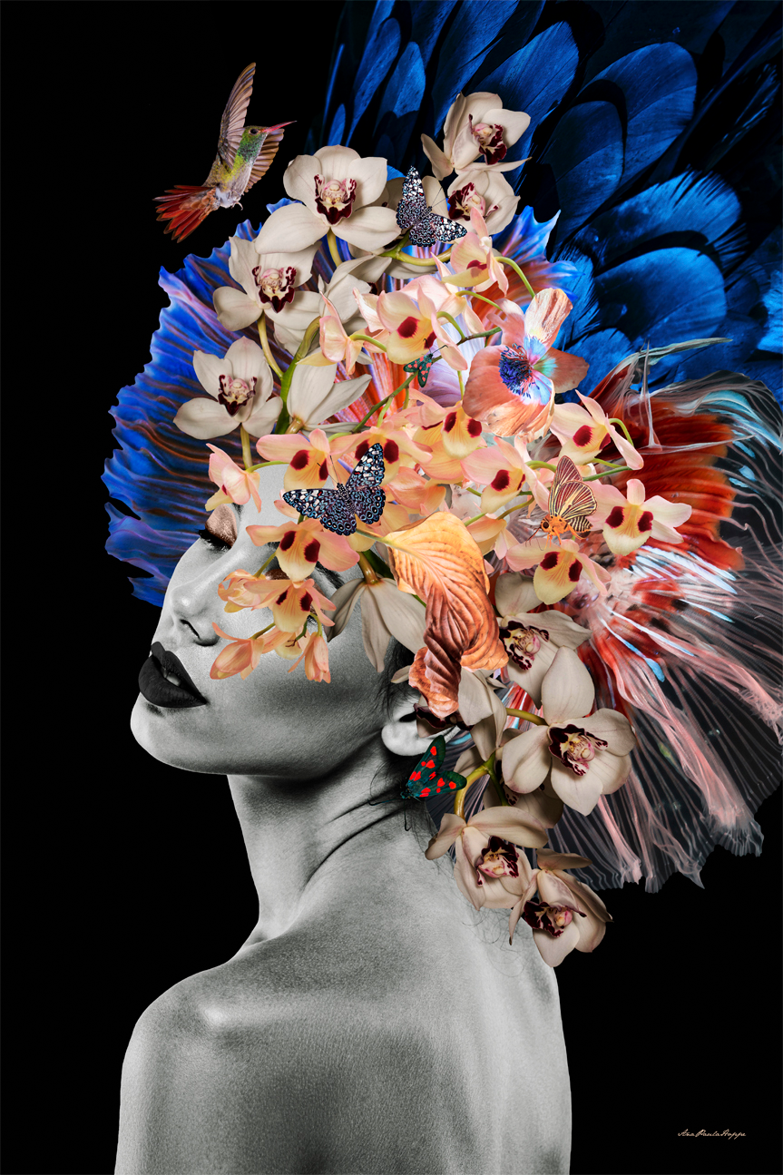 wall-art-print-canvas-poster-framed-EMILIANA , By Ana Paula Hoppe-1