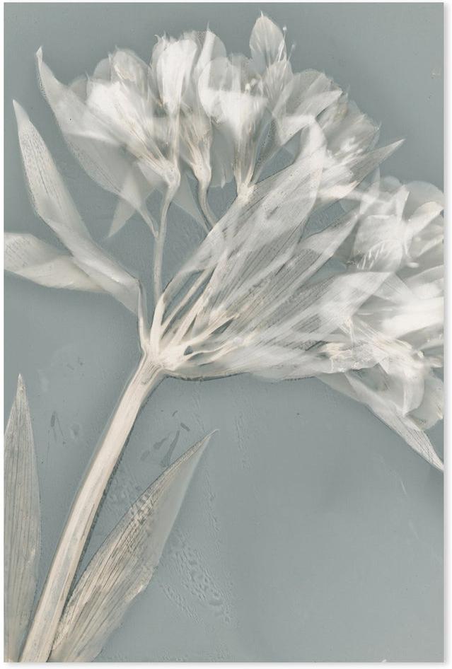 wall-art-print-canvas-poster-framed-Ethereal, Style A-by-Krista Mccurdy-Gioia Wall Art
