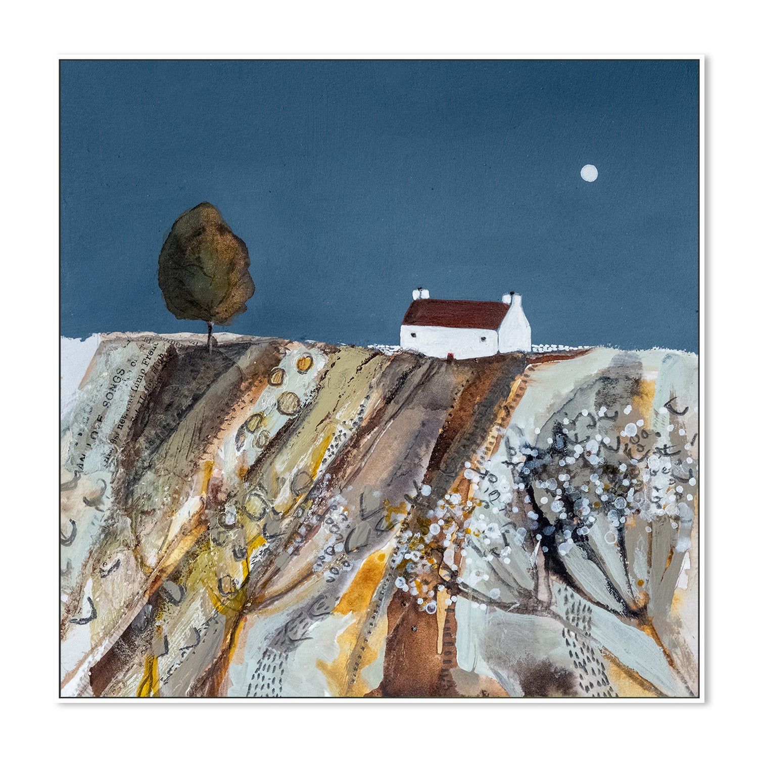 wall-art-print-canvas-poster-framed-Evening Light , By Louise O'Hara-5