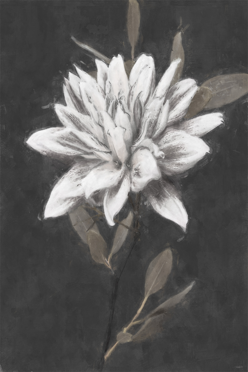 wall-art-print-canvas-poster-framed-Fable Lotus, Style C , By Nina Blue-1