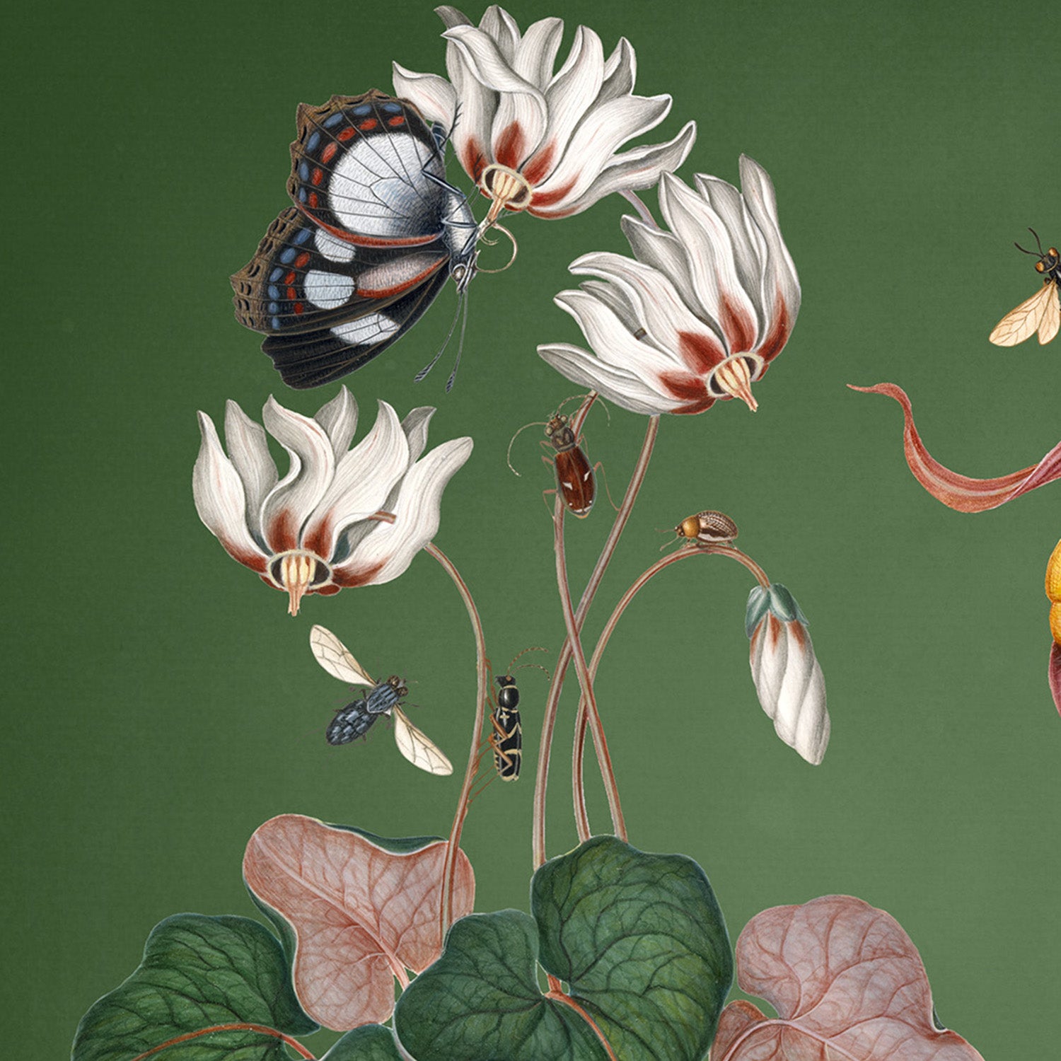 wall-art-print-canvas-poster-framed-Family Portraits-10