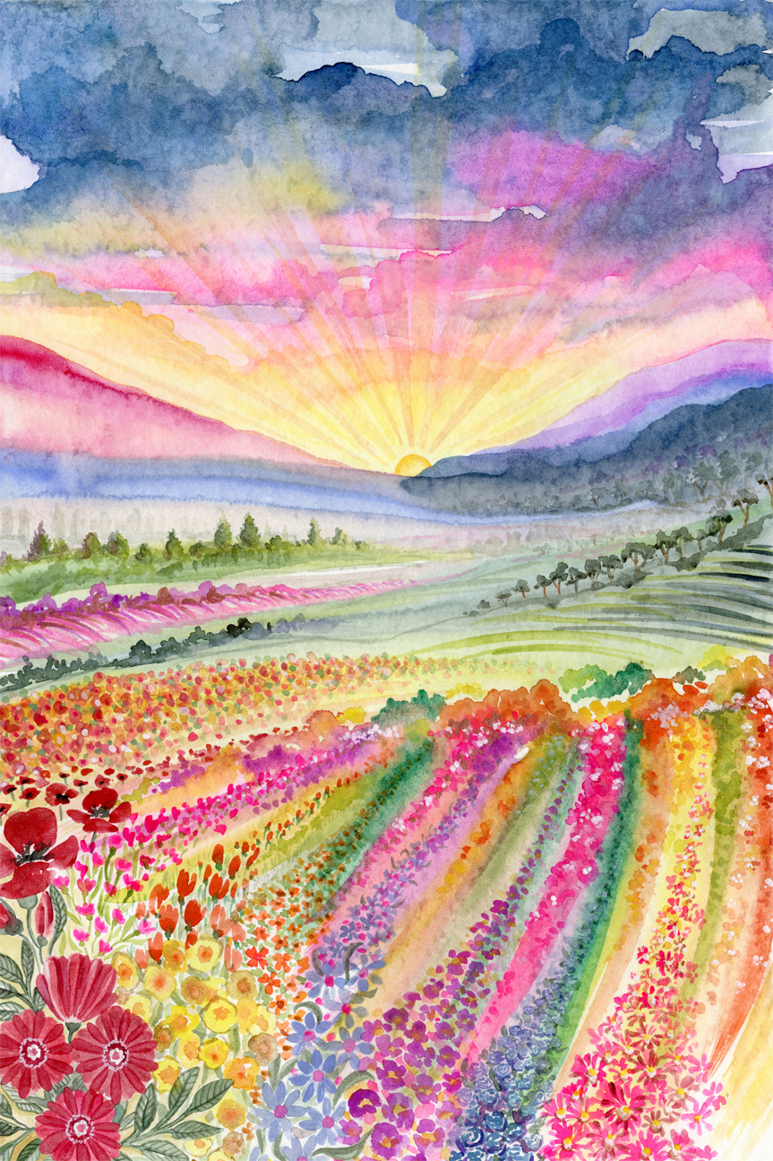 wall-art-print-canvas-poster-framed-Field Of Colour , By Jessie Mitchelson-GIOIA-WALL-ART