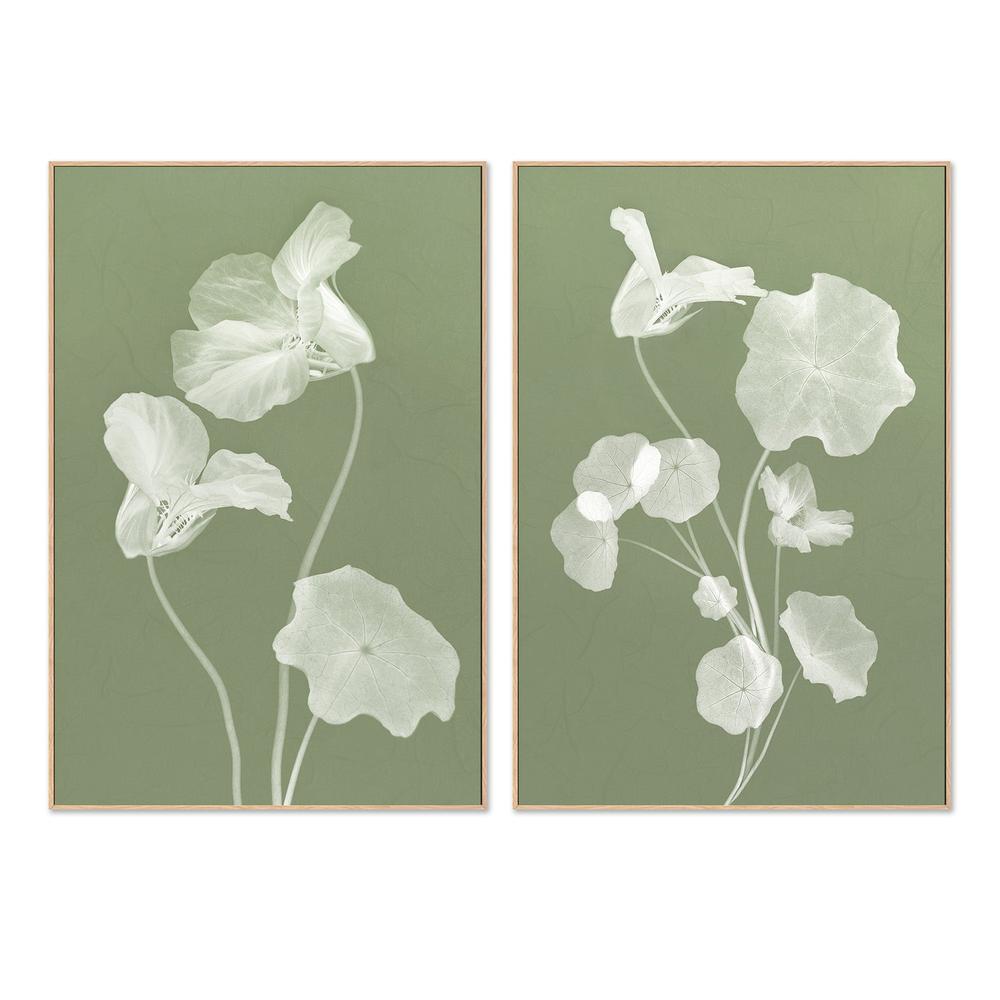 wall-art-print-canvas-poster-framed-Floral Dancer, Style A & B, Set Of 2 , By Leda Robertson-4
