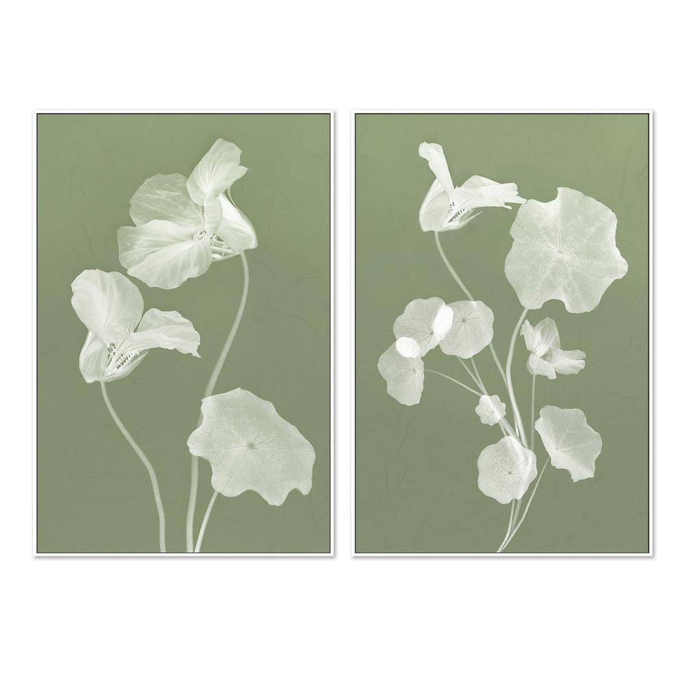 wall-art-print-canvas-poster-framed-Floral Dancer, Style A & B, Set Of 2 , By Leda Robertson-5