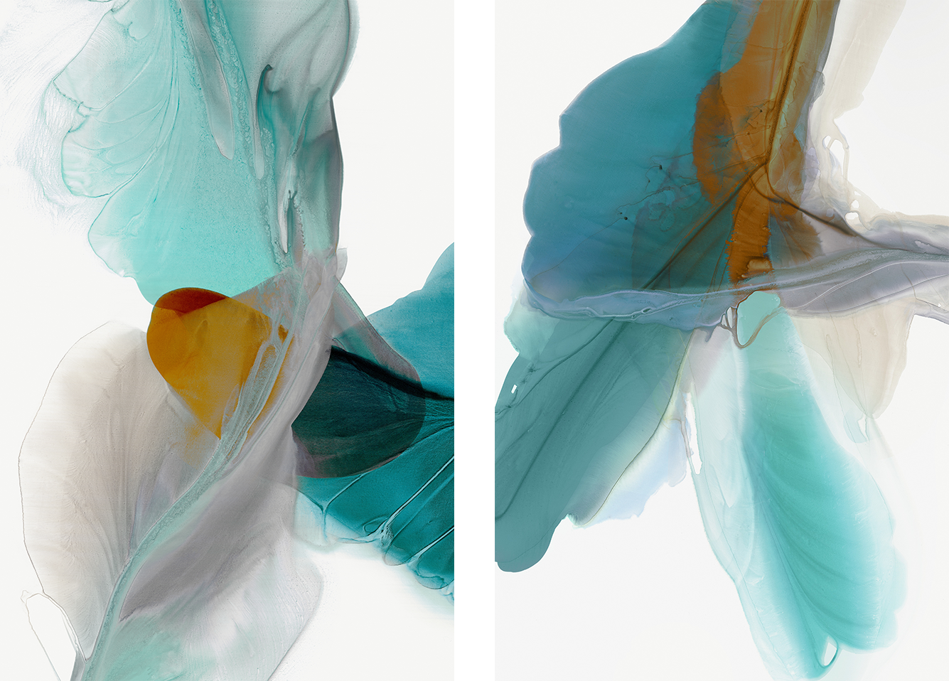 wall-art-print-canvas-poster-framed-Fluttering & Wind Blows, Set Of 2-1