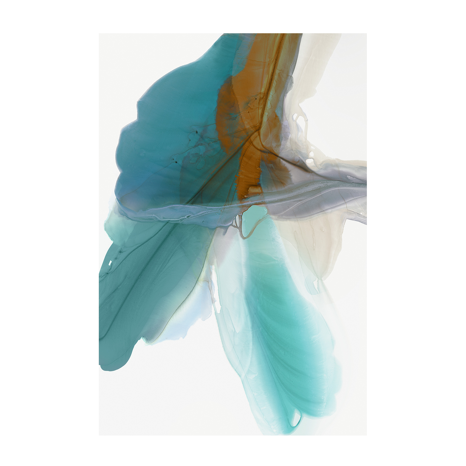 wall-art-print-canvas-poster-framed-Fluttering & Wind Blows, Set Of 2-9