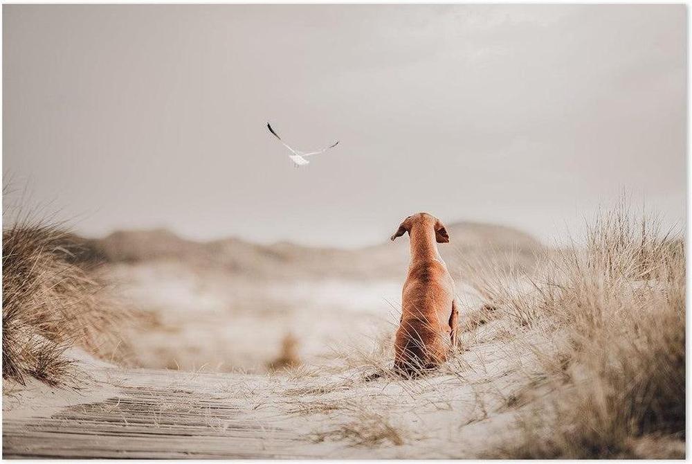 wall-art-print-canvas-poster-framed-Freedom (Ii), By Heike Willers-by-Plus X Studio-Gioia Wall Art