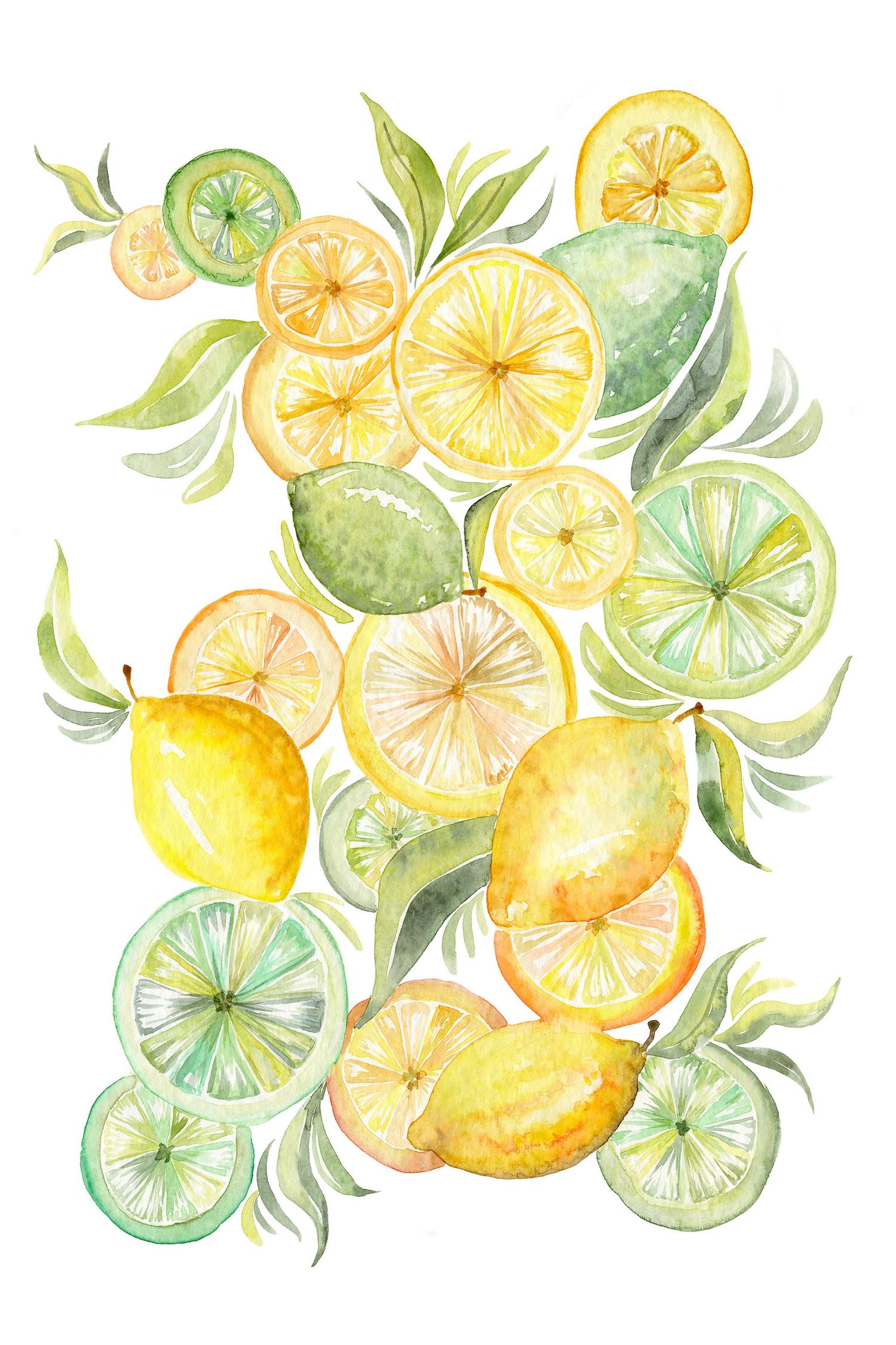 wall-art-print-canvas-poster-framed-Fruit collection - lemon & Limes-1