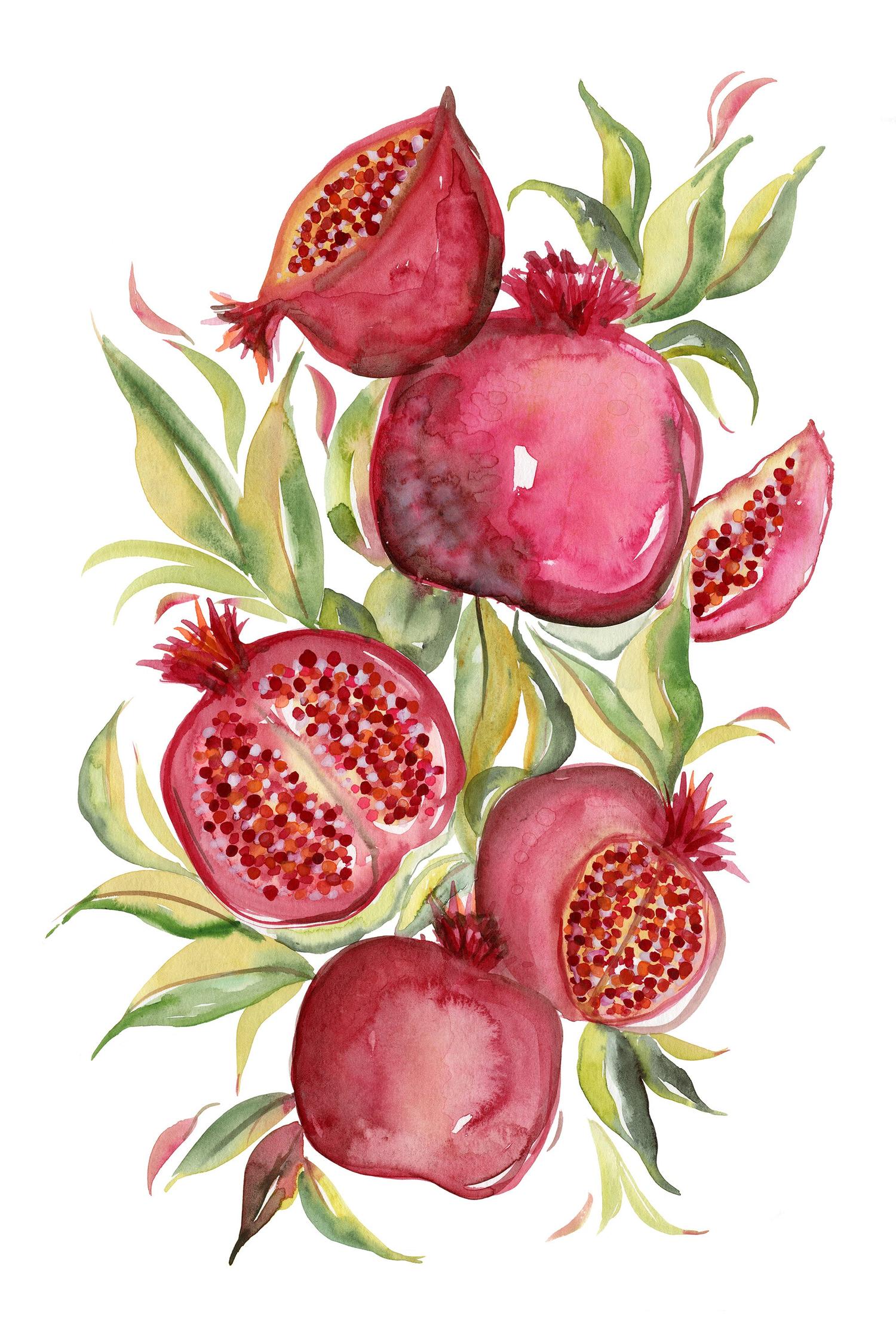wall-art-print-canvas-poster-framed-Fruit collection - Pomegranate-1