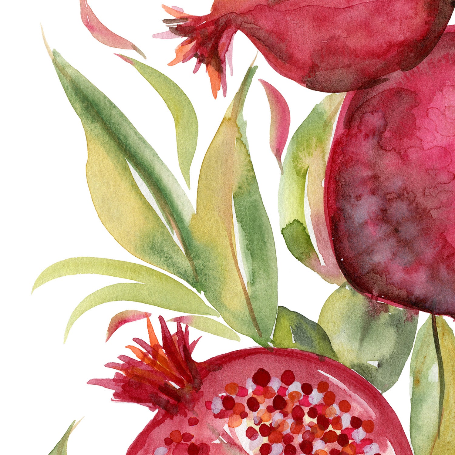 wall-art-print-canvas-poster-framed-Fruit collection - Pomegranate-11