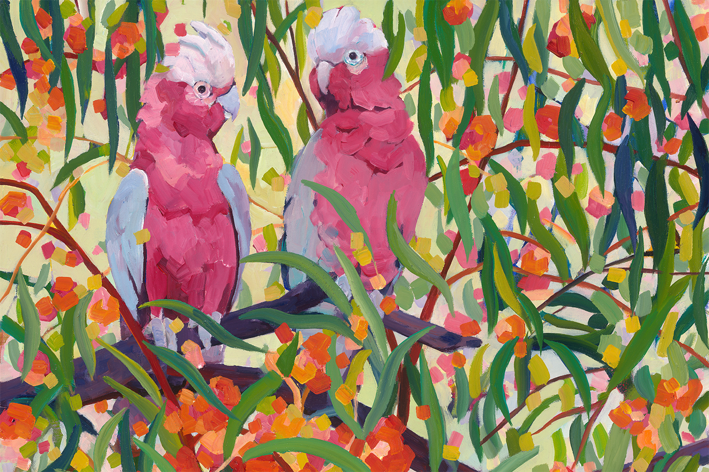 wall-art-print-canvas-poster-framed-Galahs , By Mellissa Read-Devine , By Mellissa Read-Devine-1