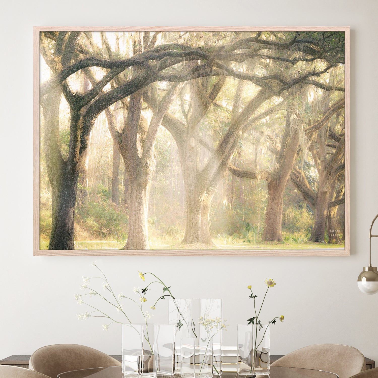 wall-art-print-canvas-poster-framed-Georgia Rays-7