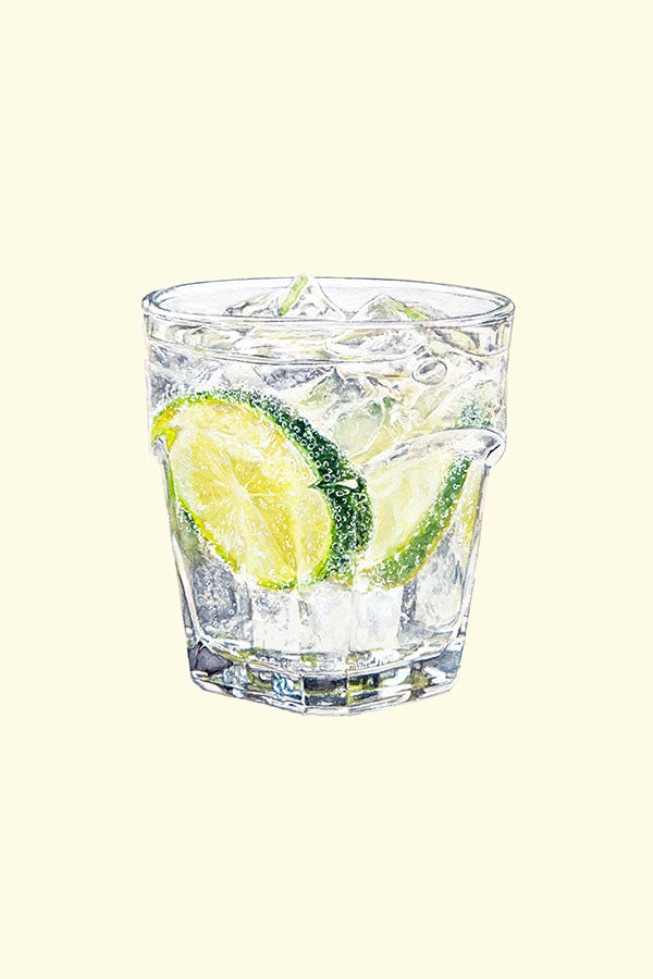 wall-art-print-canvas-poster-framed-Gin Tonic-1