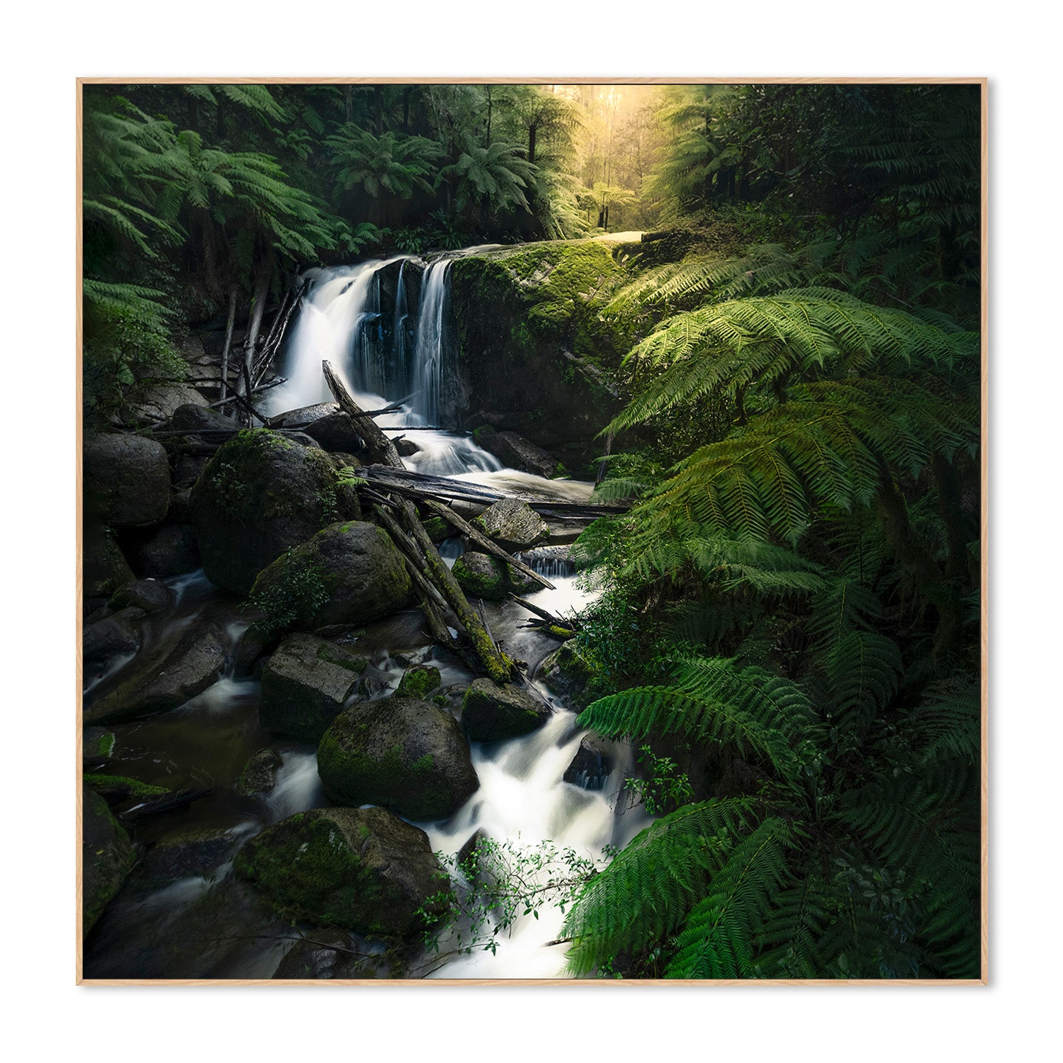 wall-art-print-canvas-poster-framed-Gippsland waterfalls (Melbourne)-4