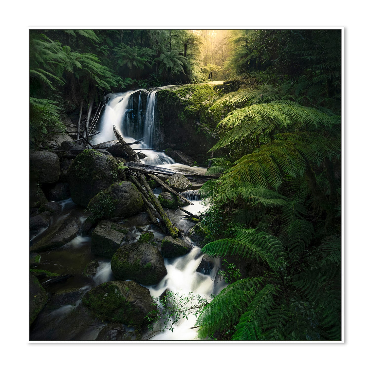 wall-art-print-canvas-poster-framed-Gippsland waterfalls (Melbourne)-5