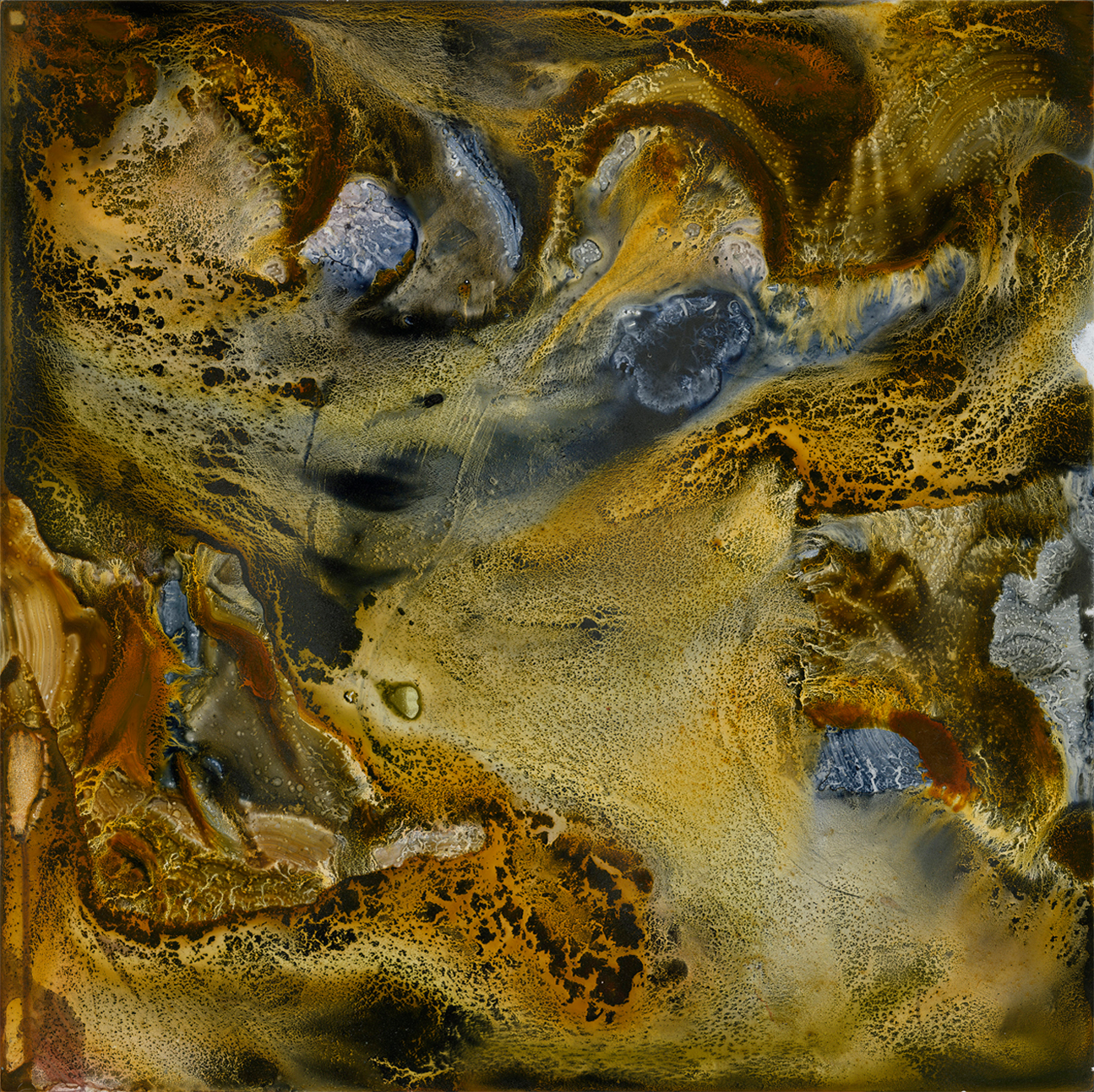 wall-art-print-canvas-poster-framed-Gold Dream, Style B , By Teagan Watts-1