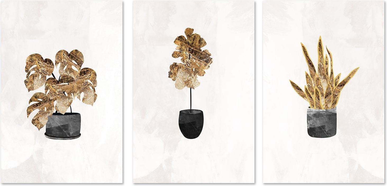 wall-art-print-canvas-poster-framed-Gold Plants, Set Of 3 , By Sarah Manovski-GIOIA-WALL-ART