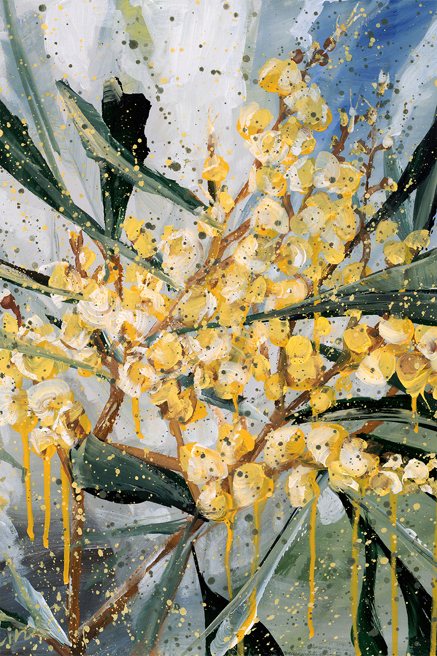 wall-art-print-canvas-poster-framed-Golden Wattle , By Hsin Lin-1