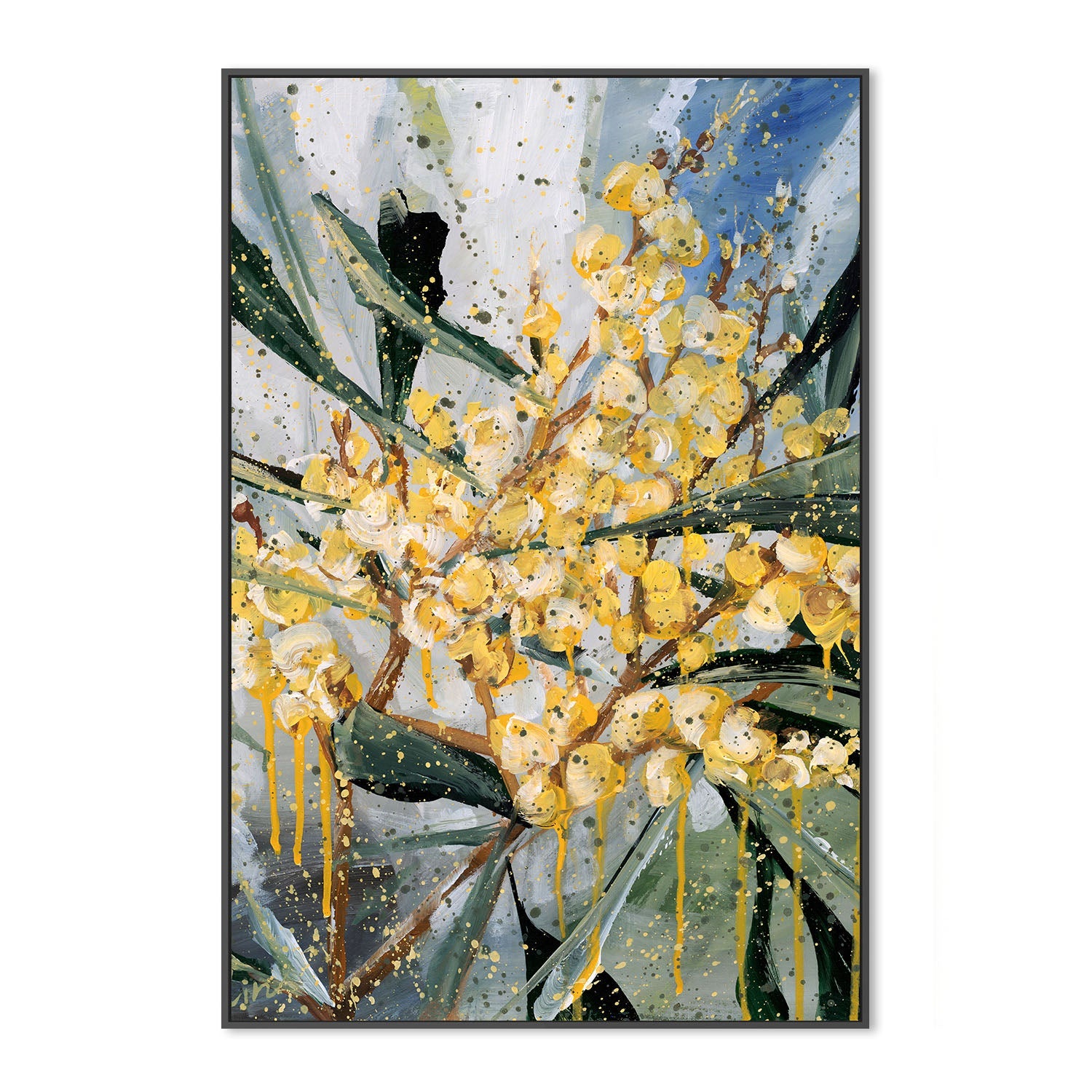 wall-art-print-canvas-poster-framed-Golden Wattle , By Hsin Lin-3