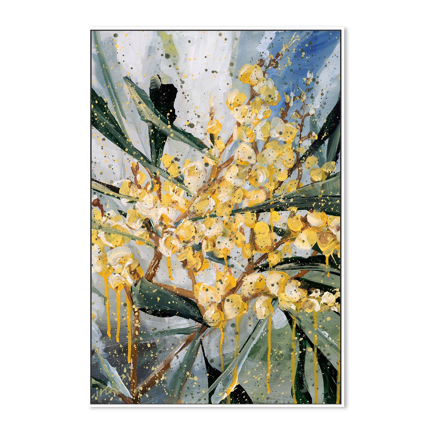 wall-art-print-canvas-poster-framed-Golden Wattle , By Hsin Lin-5
