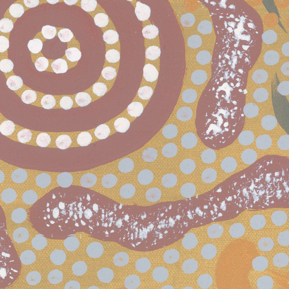 Grandmother’s Country Style D By Michelle Possum Nungurrayi Aboriginal Painting Print