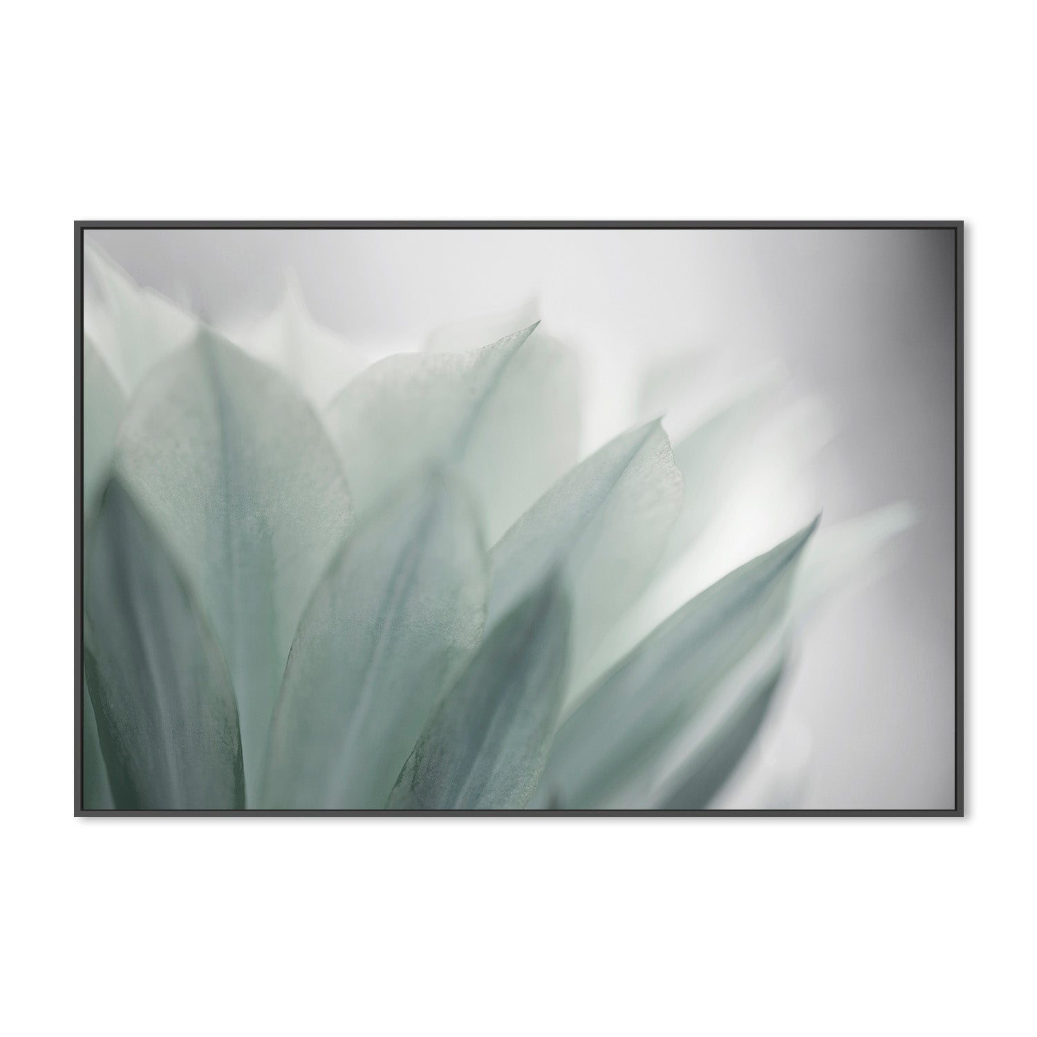 wall-art-print-canvas-poster-framed-Green Leaves Blooming , By Lily Mourier-3