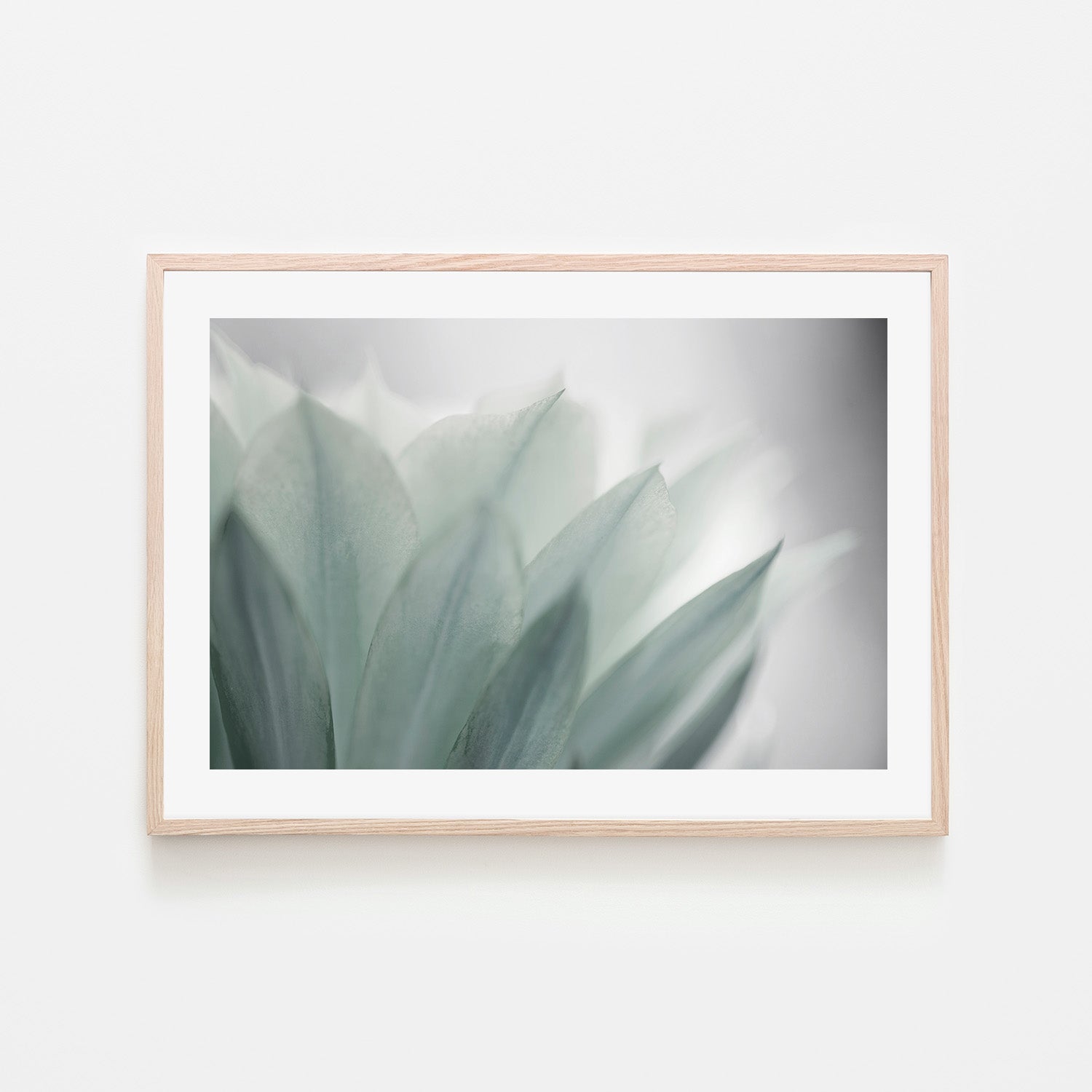wall-art-print-canvas-poster-framed-Green Leaves Blooming , By Lily Mourier-6