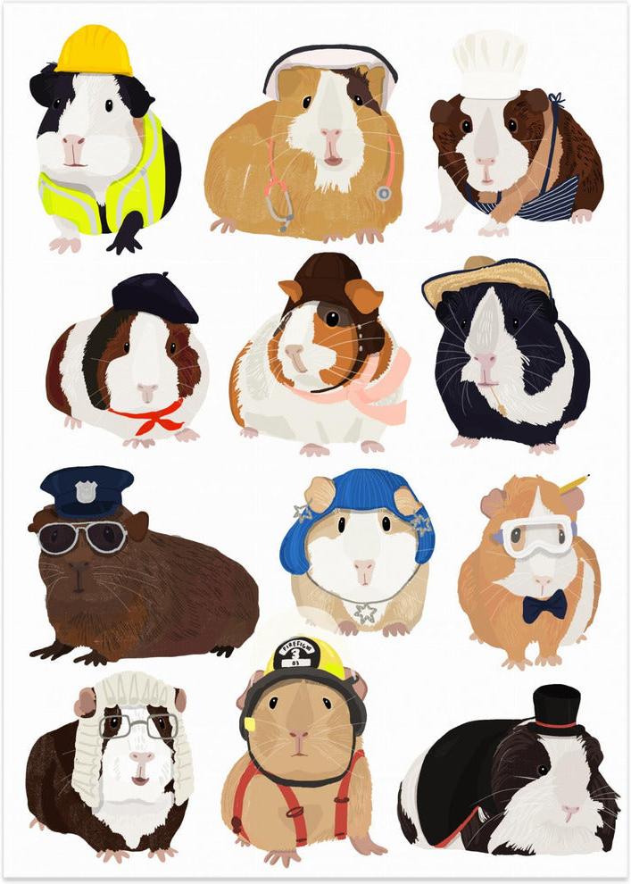 wall-art-print-canvas-poster-framed-Guinea Pig Working , By Hanna Melin-1