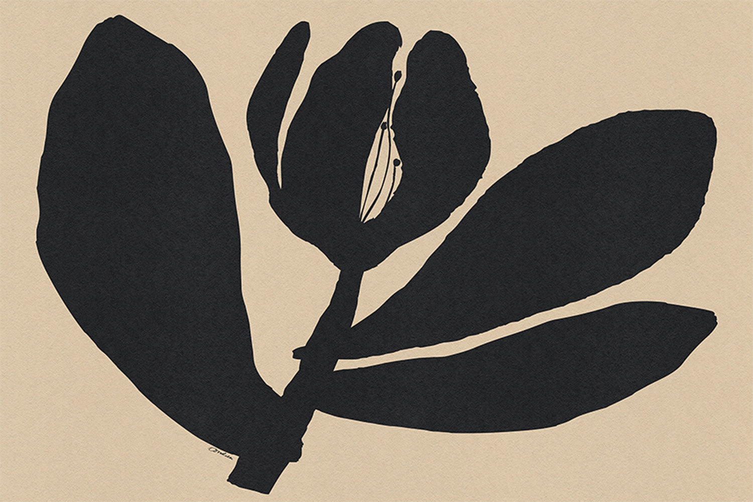 wall-art-print-canvas-poster-framed-Half Closed Black Flower On Beige-1