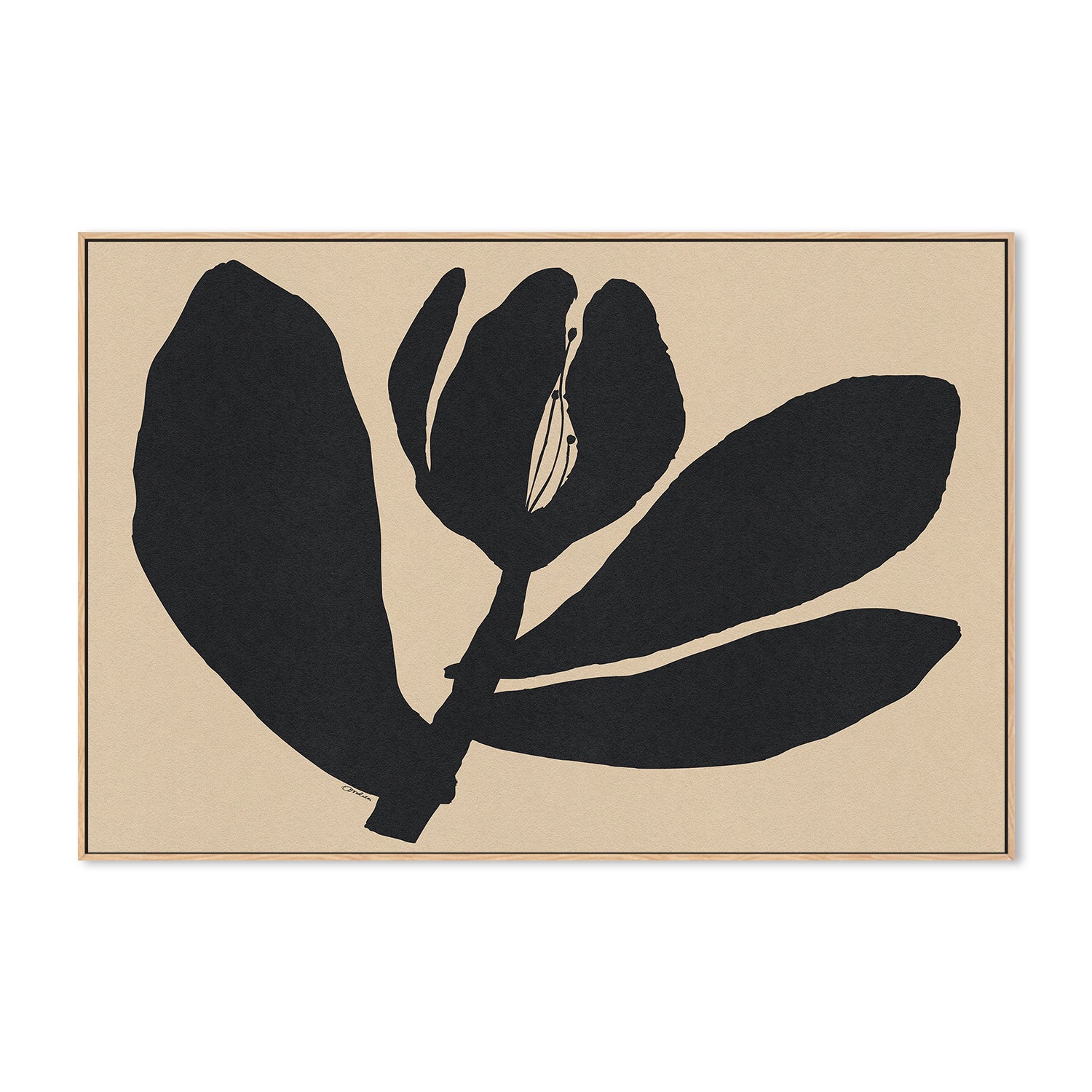 wall-art-print-canvas-poster-framed-Half Closed Black Flower On Beige-4